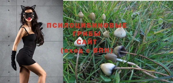мет Армянск