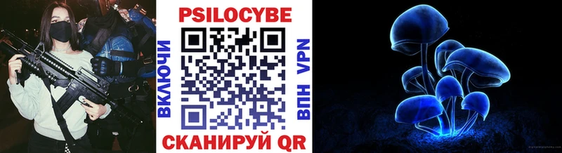Псилоцибиновые грибы MAGIC MUSHROOMS  Сураж 